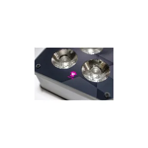 Ape Labs Maxi V2 - Face grey