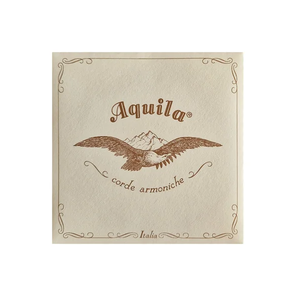 Aquila 100D Wound Nylgut Lute String
