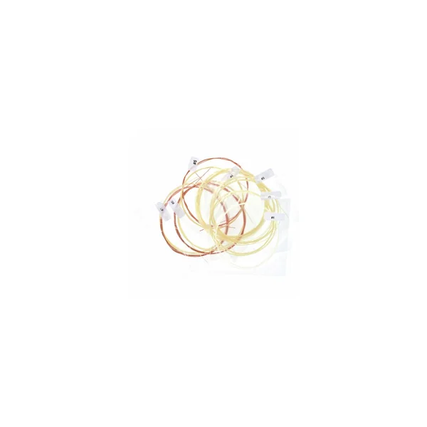 Aquila 104D140 Wound NG Lute String