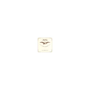 Aquila 136D140 Wound NG Lute String