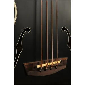 Aquila 210U Short Scale Bass Strings