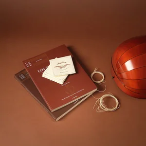 Aquila 64NNG New Nylgut Lute String