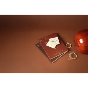 Aquila 76NNG New Nylgut Lute String