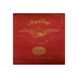 Aquila Gut & Silk 900 Class. Guitar