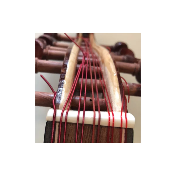Aquila Red Series Iraqi Oud Strings