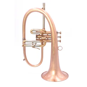 AR Resonance Sipiagin Flugelhorn