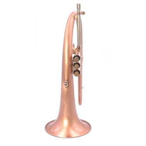 AR Resonance Sipiagin Flugelhorn