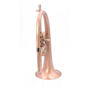 AR Resonance Sipiagin Flugelhorn