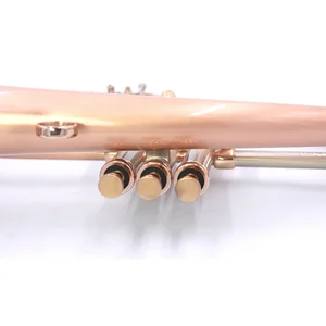 AR Resonance Sipiagin Flugelhorn