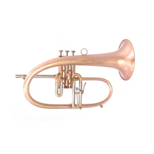 AR Resonance Sipiagin Flugelhorn
