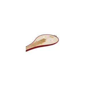 Artino Chinese LiuQin Standard