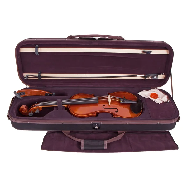Artino European Wood Violin Set 4/4