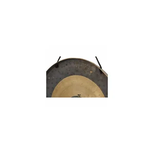 Asian Sound Tamtam T-45 P