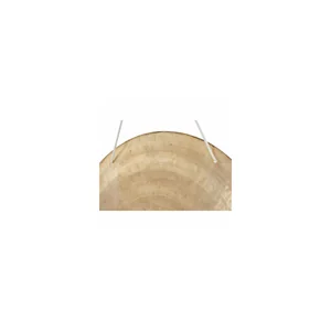 Asian Sound Tamtam TT-55 P