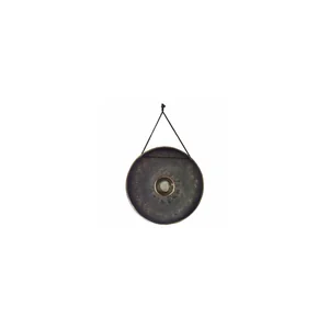 Asian Sound Thai-Gong Tuned a1