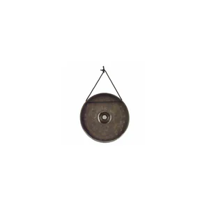 Asian Sound Thai-Gong Tuned c2