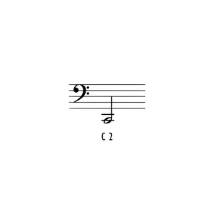Asian Sound Thai-Gong Tuned c2