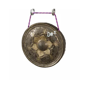 Asian Sound Thai-Gong Tuned d1
