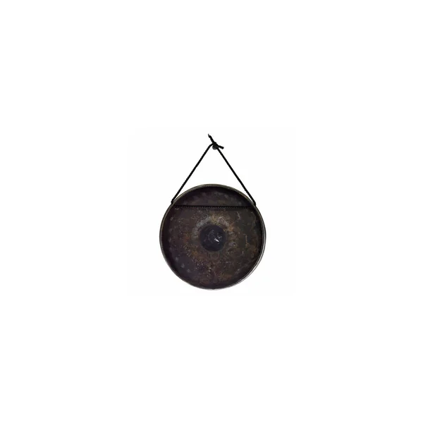 Asian Sound Thai-Gong Tuned d2