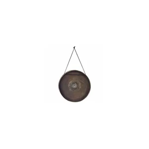 Asian Sound Thai-Gong Tuned f1
