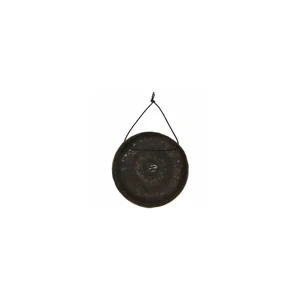 Asian Sound Thai-Gong Tuned g2
