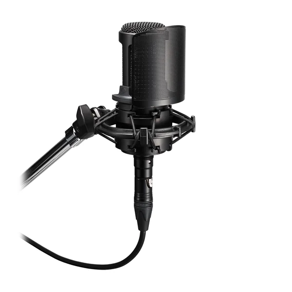 Audio-Technica AT 8175 Pop Filter