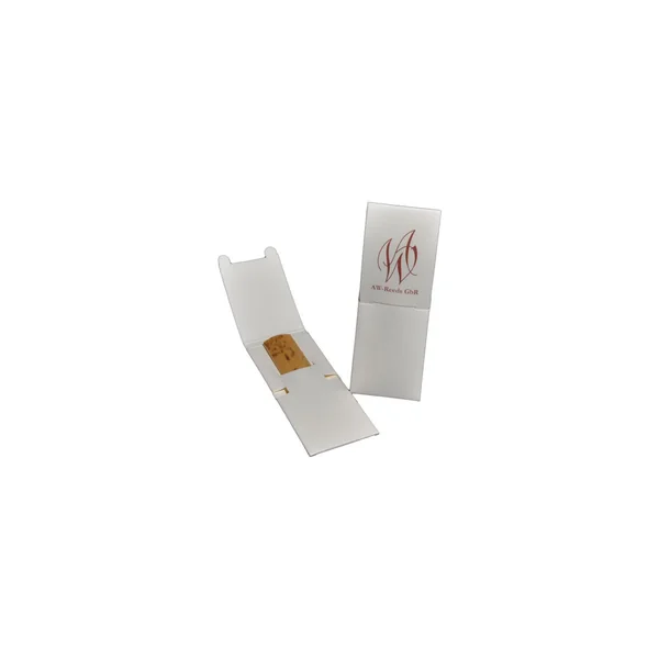 AW Woodwinds 711 Alto Saxophone 3.0