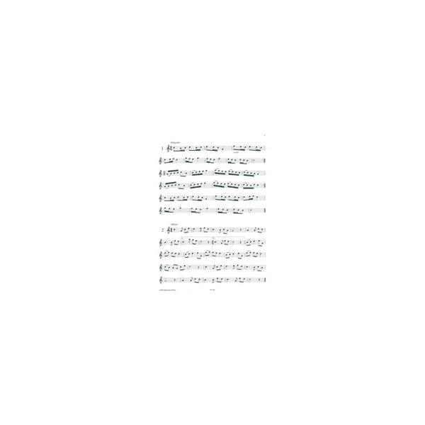 Bärenreiter 35 Etüden Sopranblockflöte
