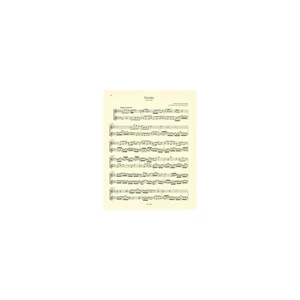 Bärenreiter Bach 3 Sonaten für 2 Flöten