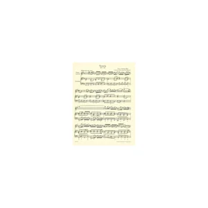 Bärenreiter Bach 4 Sonaten für Flöte