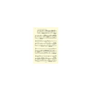 Bärenreiter Bach Magnificat D-Dur