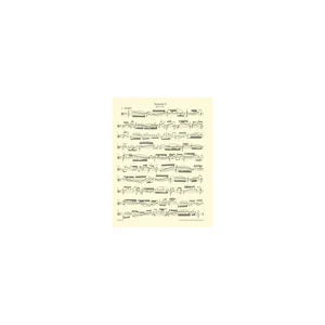 Bärenreiter Bach Sonaten Partiten Viola