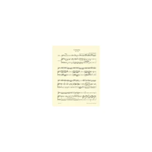 Bärenreiter Bach Violinkonzert BWV 1042
