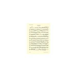 Bärenreiter Bach Violinkonzert BWV 1042