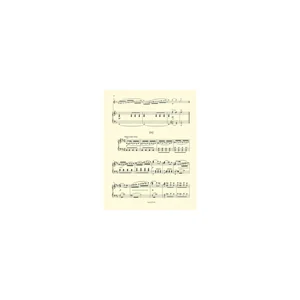 Bärenreiter Blodek Flötenkonzert D-Dur