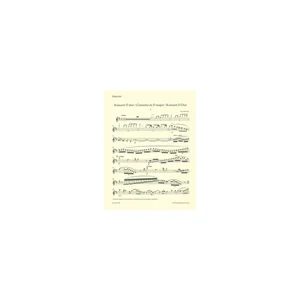 Bärenreiter Blodek Flötenkonzert D-Dur