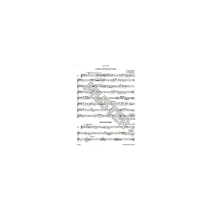 Bärenreiter combocom Blues