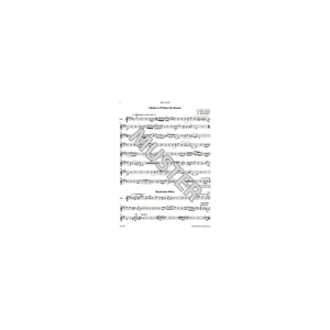 Bärenreiter combocom Blues