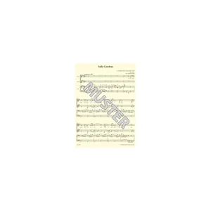 Bärenreiter combocom Irish