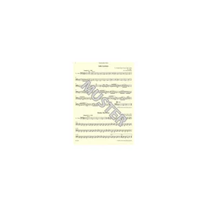 Bärenreiter combocom Irish