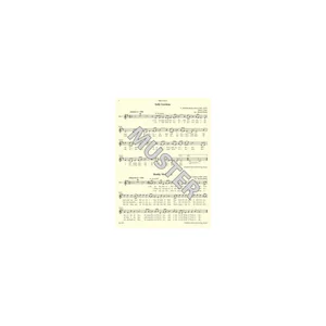 Bärenreiter combocom Irish