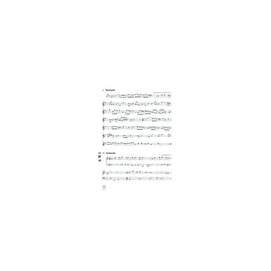 Bärenreiter Eine Zeitreise vom Mittelalter