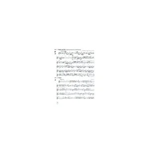 Bärenreiter Eine Zeitreise vom Mittelalter