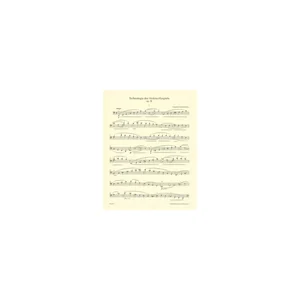 Bärenreiter Grützmacher Technologie
