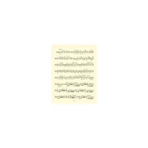 Bärenreiter Grützmacher Technologie