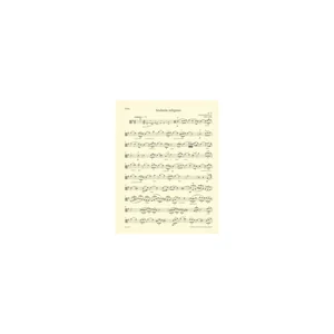 Bärenreiter Konzertstücke for Bratsche