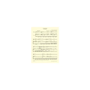 Bärenreiter Mozart Flötenkonzert KV 314