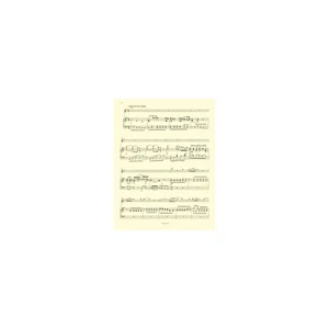 Bärenreiter Mozart Flötenkonzert KV 314