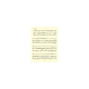 Bärenreiter Mozart Flötenkonzert KV 314