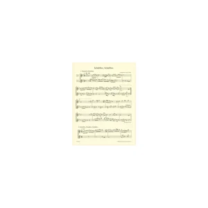 Bärenreiter Schabbes, Schabbes